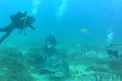 buceo3