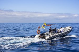 barco para Avistamiento de Cetáceos y Ciencias Marinas