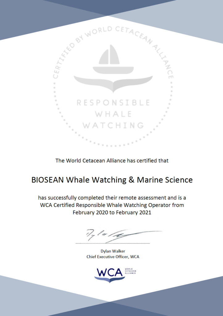 Certificación de observación responsable de cetáceos