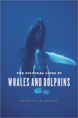 Cultural lives of dolphins and whales