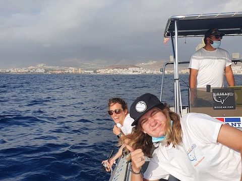 My  internship with Biosean Whale Watching and Marine Science in Tenerife, Spain