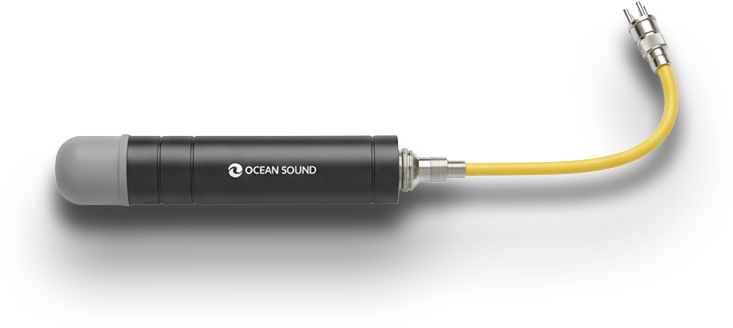 Hidrófono para oír los cantos de cetáceos en el tour privado