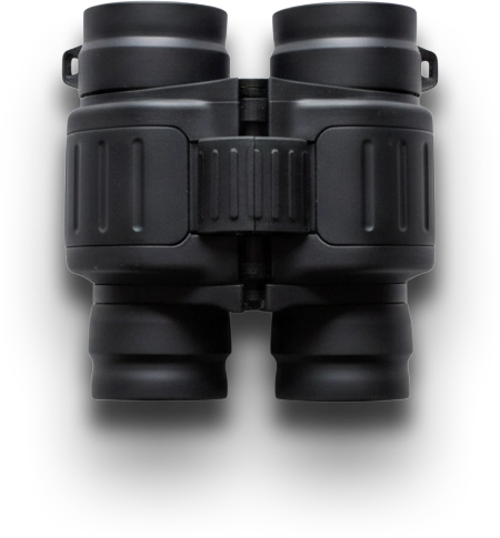 Prismáticos para ver los cetáceos